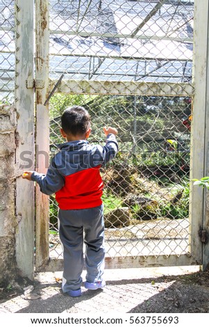 a young boy hand holding cage