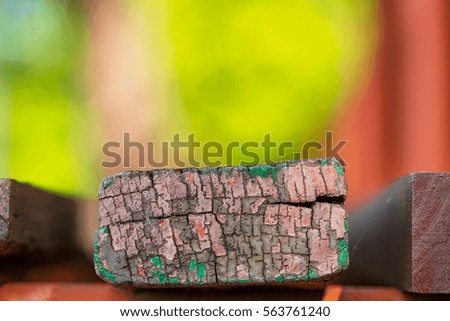 old wood texture in a park with blurred nature background for copy space, selective focus on the sidd texture of the wood