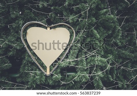 Love heart Carved on a Tree