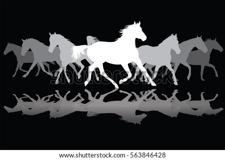 Trotting white and grey horses silhouette on black background vector illustration