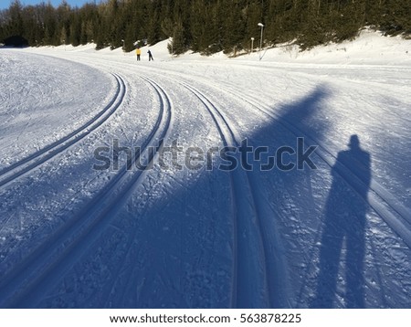 Athlete standing on nordic ski track for classic sprint 