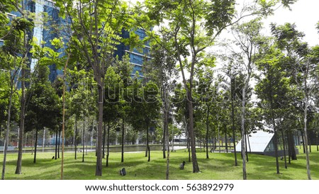 Urban buildings with trees