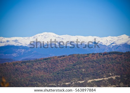 Autumn oak and pine forest with a snowed Pyrenean mountains background