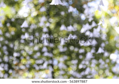 green and white bogey light in blurred background