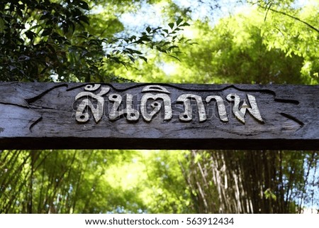 Peace signpost, in Thai  language script with beautiful nature background