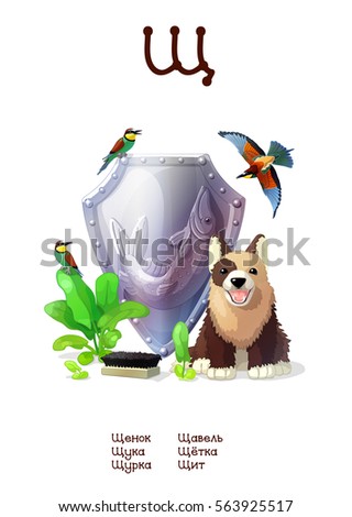 Russian Alphabet (all 33 letters) (Cyrillic, Slavic language) series of Amusing Animals. Educational pictures. Animals, plants and objects for letter 27: puppy, pike, bee-eater, sorrel, brush, shield