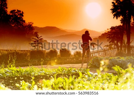 Silhouette of the back of the photographer man with golden light in the morning In the countryside.