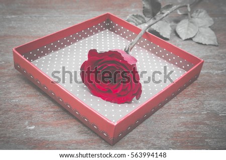 red rose flower with gift box for Valentine's Day, vintage filter image