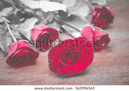 red rose flower with gift box for Valentine's Day, vintage filter image