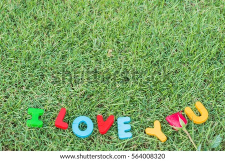 i love you  letter on the grass for valentine's day