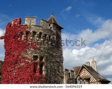 Old stone tower with red ivy in the countryside in France
