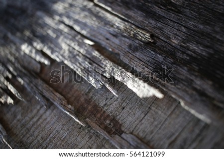 Detail of the structure of a weathered wooden board with cracks and shivers in it.
