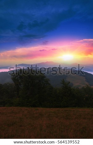 colorful summer sunrise  in the mountains, America travel landscape