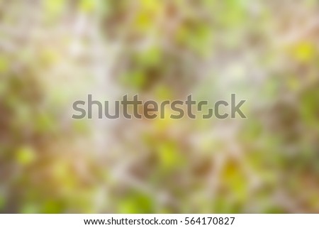 image color blurry abstract background