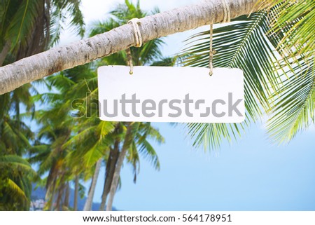 Wooden signboard on a palm tree at the beach bar
