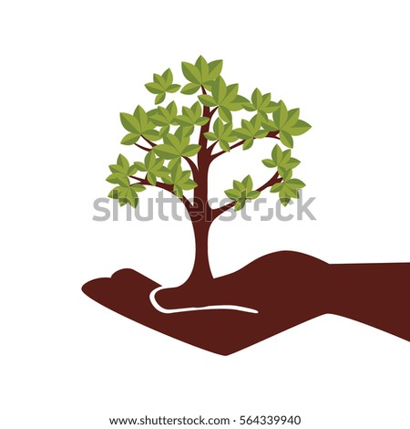 hand human with tree plant