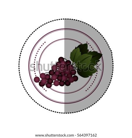 colorful sticker of circular shape with grape fruit