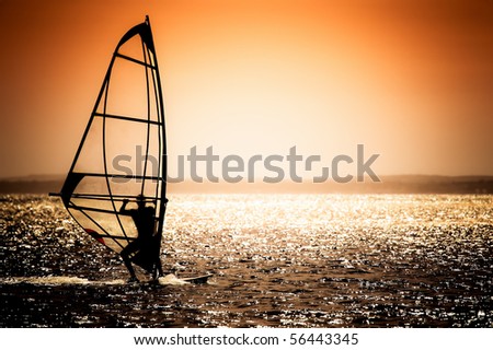 windsurfer silhouette against a sunset background - natural blue sky version available - image ref 56118271 Royalty-Free Stock Photo #56443345