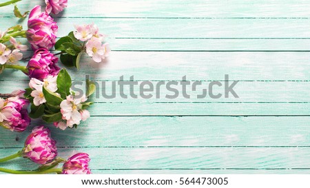 Border from spring  tulips flowers  and apple tree flowers on turquoise painted wooden background. Selective focus. Place for text. Toned image. Royalty-Free Stock Photo #564473005