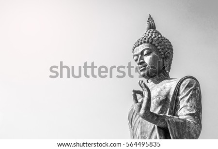 Big buddha statue  at phutthaMonthon background Royalty-Free Stock Photo #564495835
