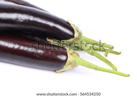 eggplant or aubergine   on white background