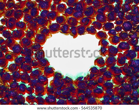 nice red roses with love shape isolated on black background