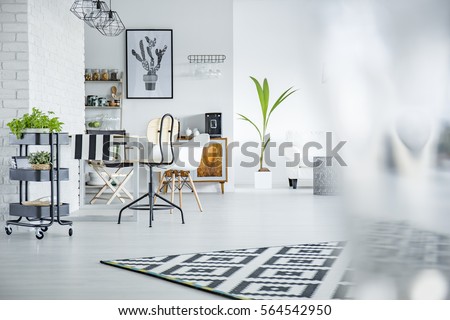 White and spacious living room with plants
