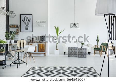 White and spacious multifunctional room