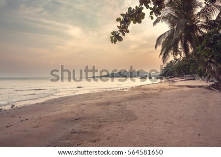 Deserted tropical beach landscape during sunset with beautiful scenic view on sea and coastline with palm trees and sunset sky