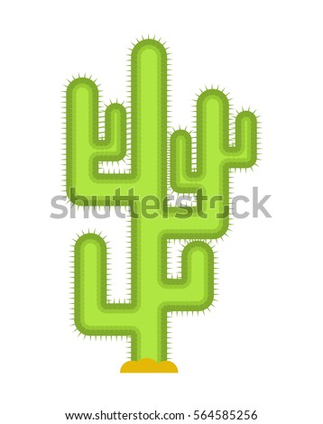Cactus isolated. Large peyote from desert on white background.