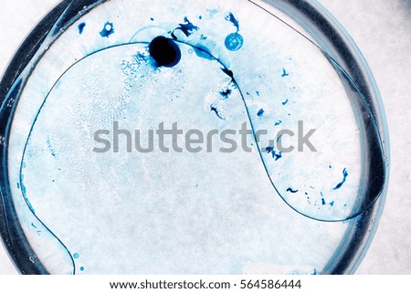 Blue spots on white background. Abstract picture