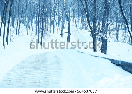 Alley in beautiful park on winter day