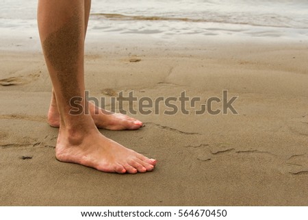 Texture, background. the sand on the beach. loose granular substance, pale yellowish brown, resulting from the erosion of siliceous and other rocks and forming a major constituent of beaches,