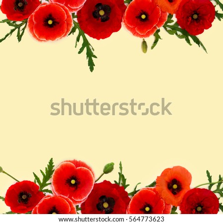 Frame of red poppies (common poppy, corn poppy, corn rose, field poppy, Flanders poppy, red weed, coquelicot) on yellow background with space for text. Top view, flat lay