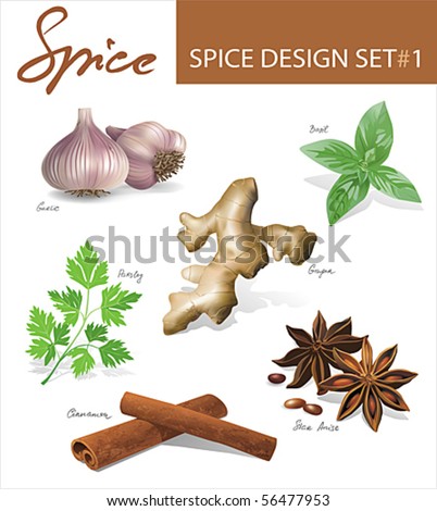 Spice images design set 1. Vector illustration. Royalty-Free Stock Photo #56477953