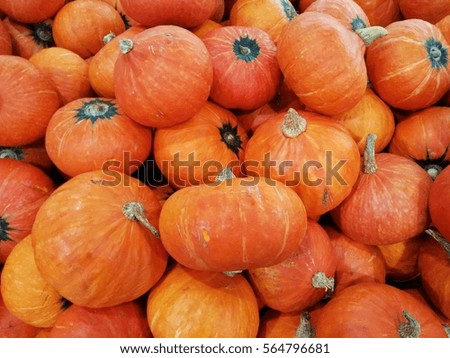 Closed up big orange pumpkins backgrounds.