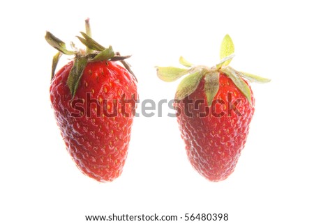 Two sweet strawberries on white
