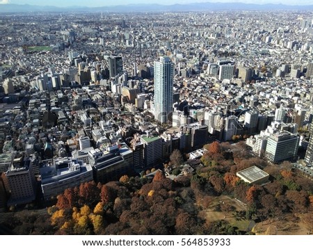 Small girl in a big world. 
Top view of Tokyo from Metropolitan Government Building, Shinjuku, Japan