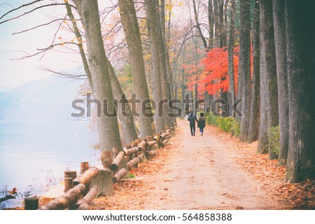 Autumn color in Nami island, South korea