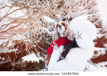Young brunette woman outdoors with cute dog - Cavalier King Charles  winter concept, Christmas colors 