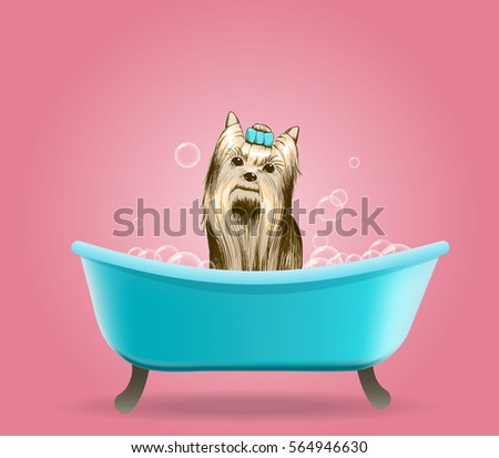 Colorful beauty procedure template with glamour dog washing in bathroom on pink background vector illustration