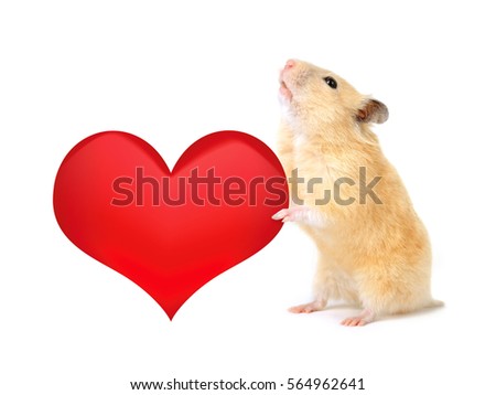 Hamster with heart isolated on white background