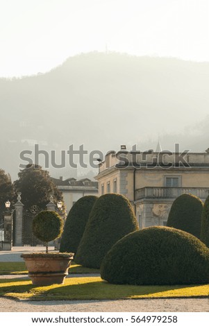 geometric trees and old park  in Like Como
