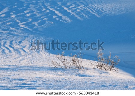 Dry grass in snow on background of snowdrift in form of huge wave. 
