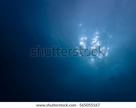 Underwater and sunlight on the surface water background