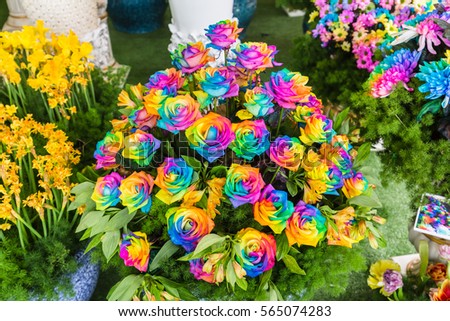 bouquet of multi-colored roses (Rainbow rose)