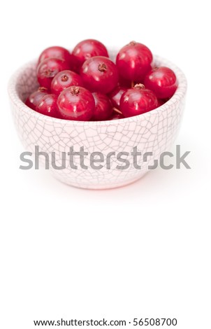 fresh red currant on the white isolated background