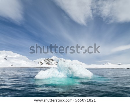 Antarctic icebergs and glaciers