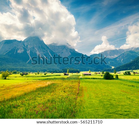 Green meadow on the Golf club Zugspitze, Lermoos village location. Colorful summer morning in  Austrian Alps, Reutte district, state of Tyrol, Austria, Europe. Artistic style post processed photo.