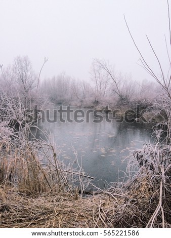 Wintery landscape, frozen lake